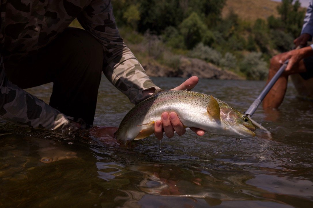 D536B585-815D-4483-BF58-0455216CB644_1_105_c