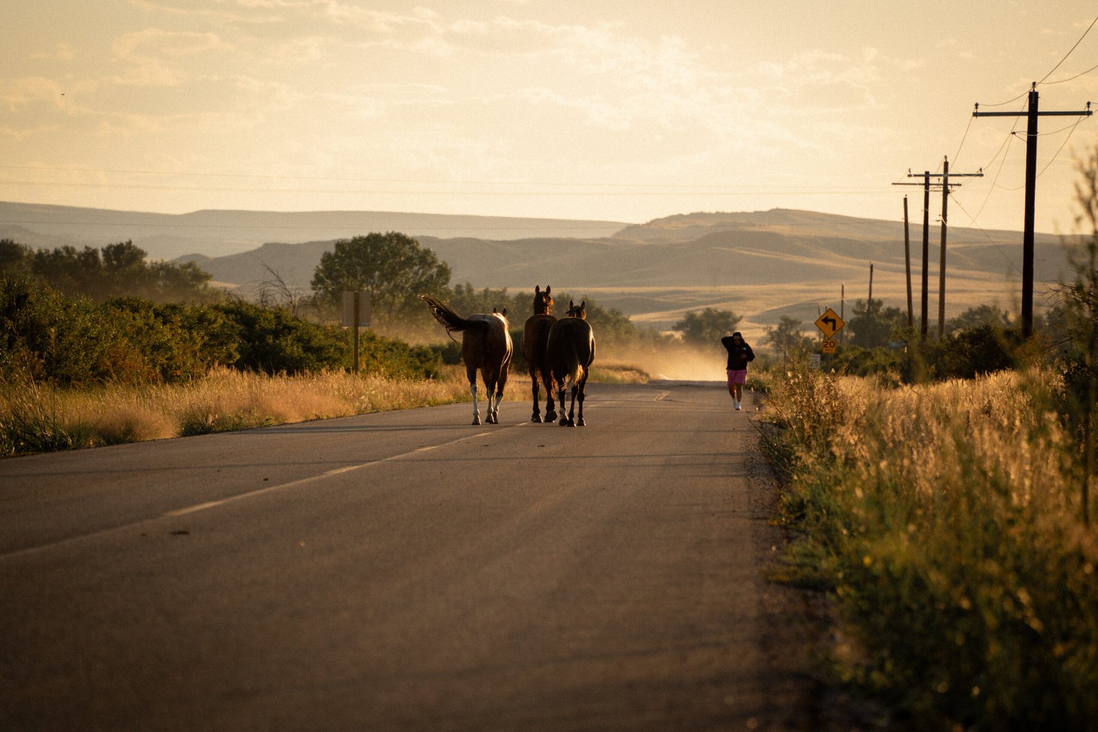 The Kingfisher Lodging Experience at the Bighorn River Montana 10