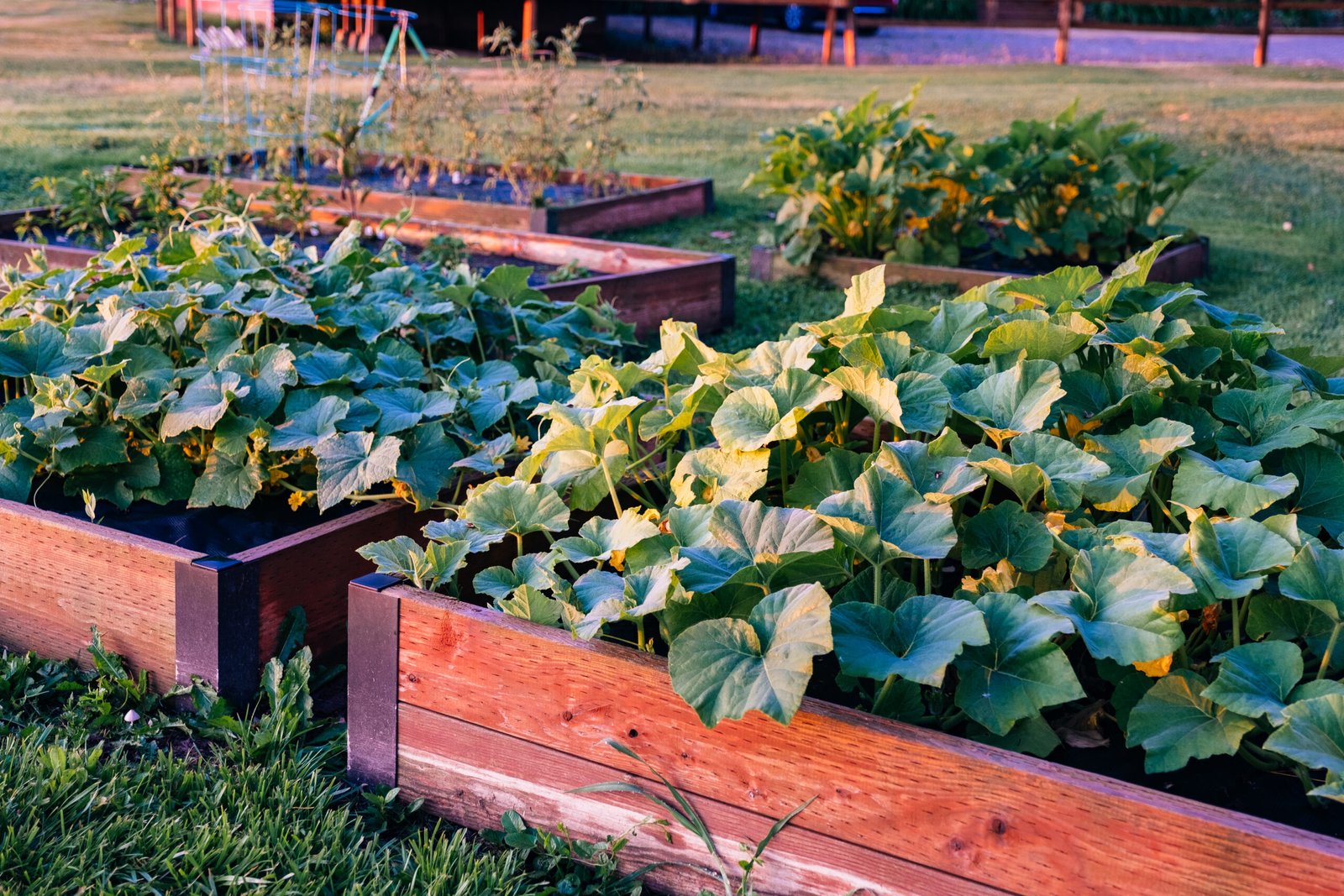 The Kingfisher Experience at the Bighorn River Montana 3