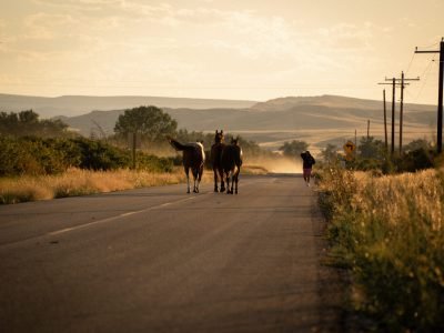 The Kingfisher Lodging Experience at the Bighorn River Montana 10