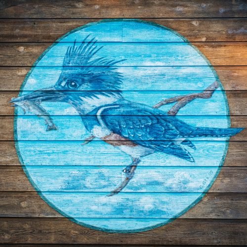 The Kingfisher Experience at the Bighorn River Montana 7