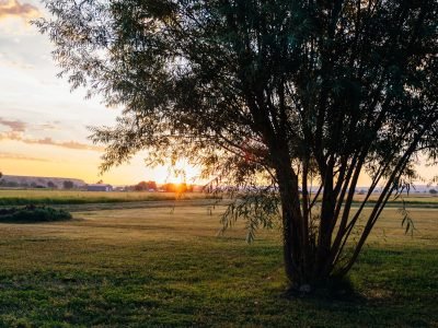 The Kingfisher Lodging Experience at the Bighorn River Montana 12