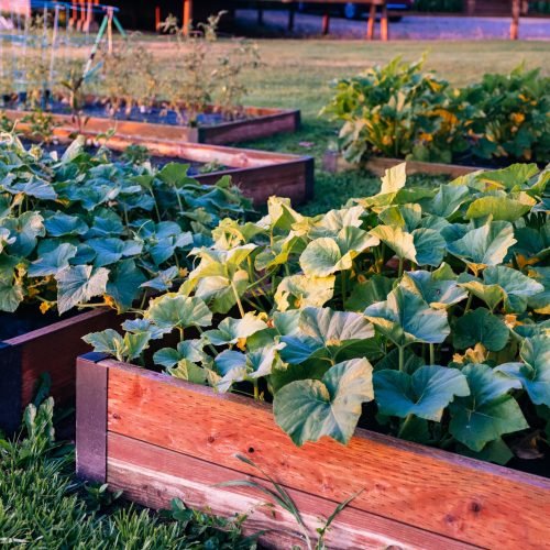 The Kingfisher Experience at the Bighorn River Montana 3